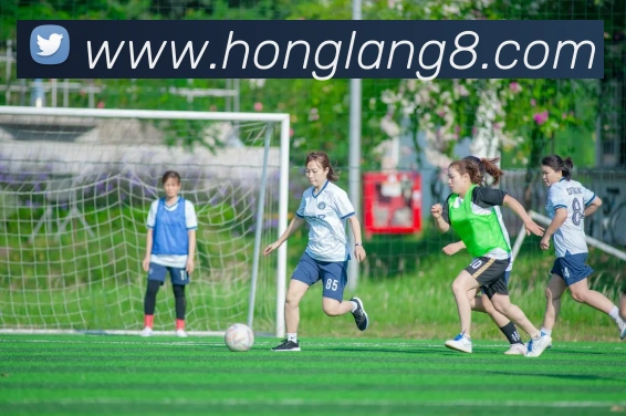 mksports官网登录APP 高清赛事图